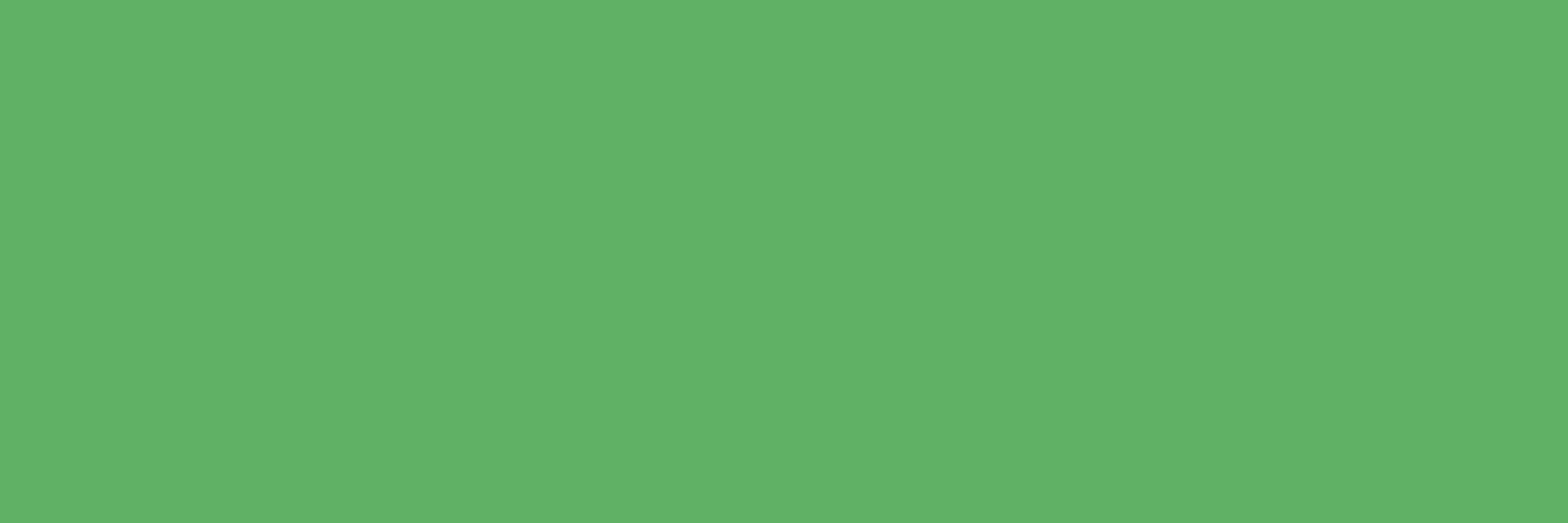 Green T-Shirt Collection