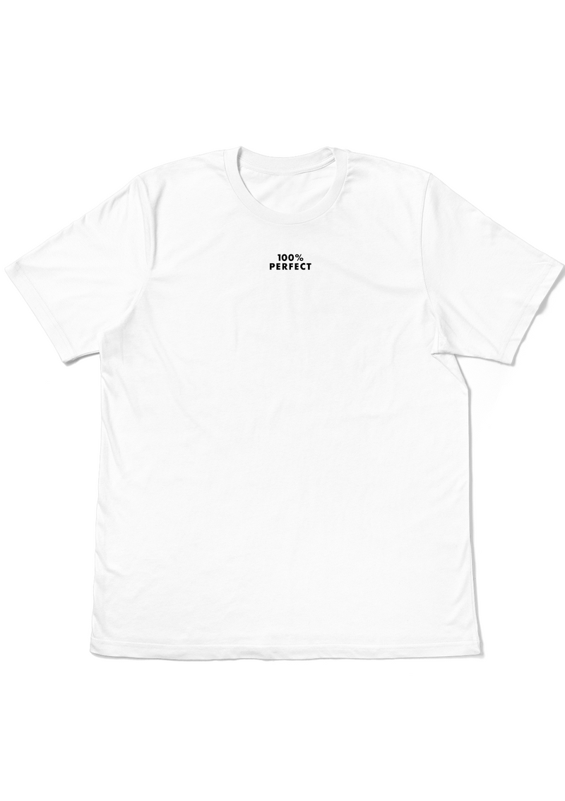 100_perfect_white_t-shirt_flat_front