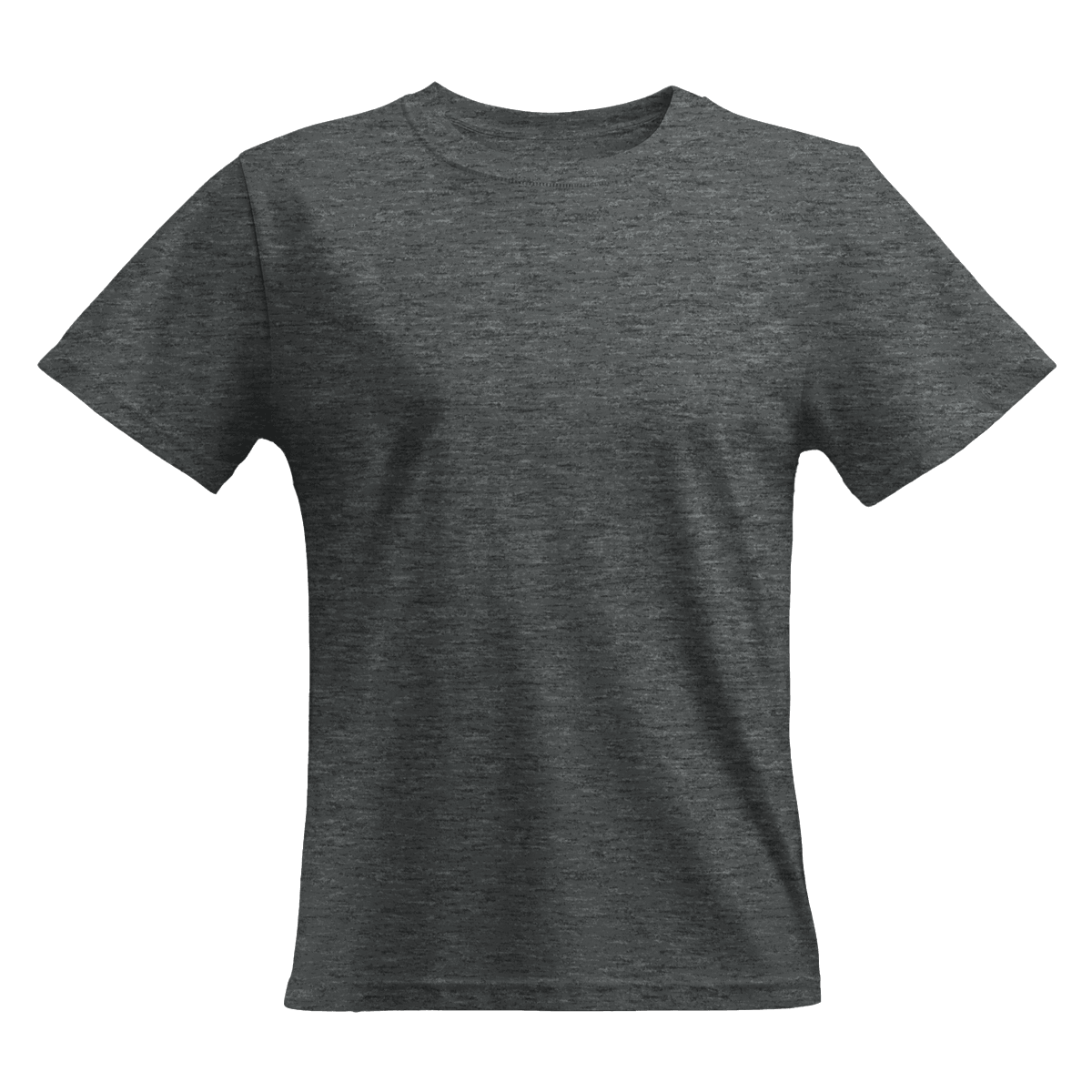 perfect-tshirt-co-women-s-