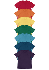 Pride Rainbow Solid Color T-Shirts Collection - Perfect TShirt Co