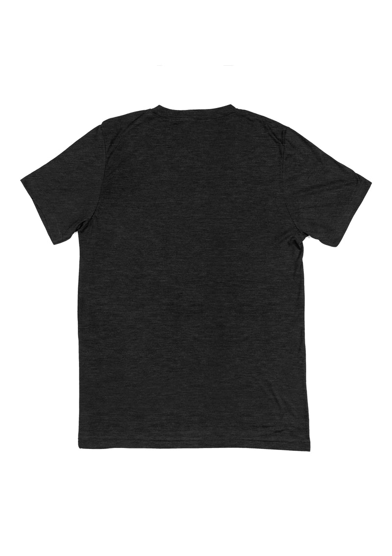Mens T-Shirt Short Sleeve V-Neck Charcoal Gray Triblend