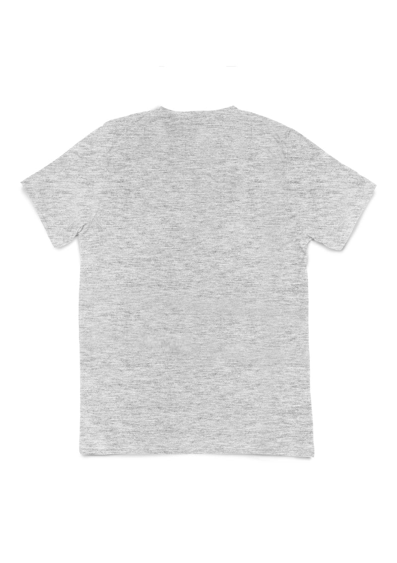 V-Neck Triblend T-Shirt - White Fleck