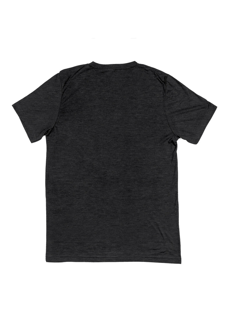 Mens T-Shirt Short Sleeve V-Neck Dark Gray Heather