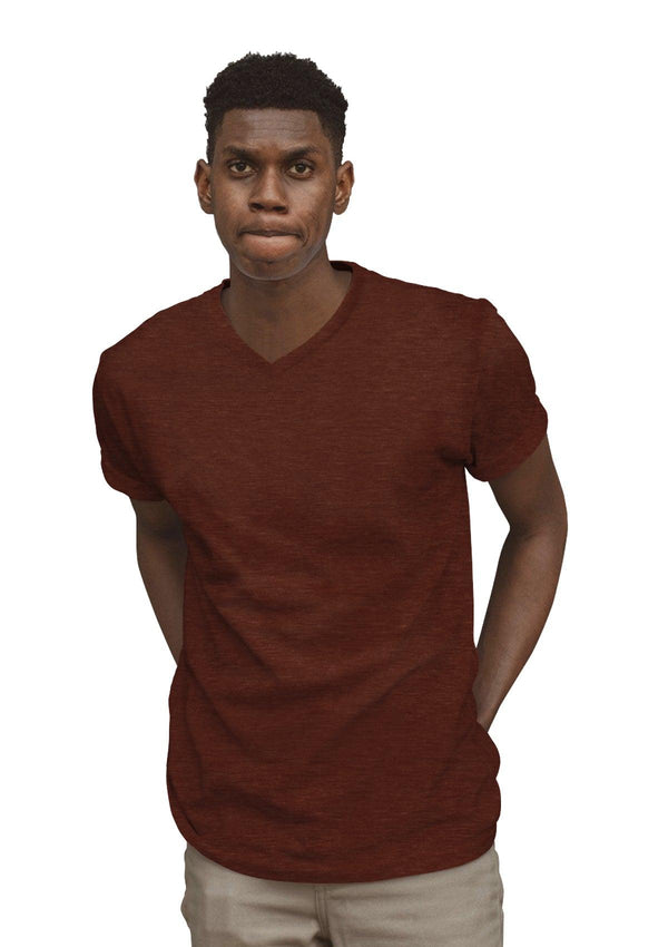 Men's Amazon Clay Triblend V-Neck Short Sleeve T-Shirt - Perfect TShirt Co