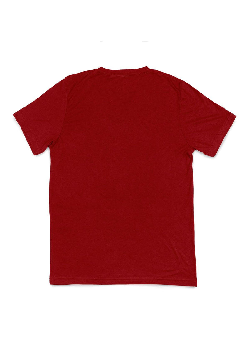 Men's Red Triblend V-Neck Short Sleeve T-Shirt - Perfect TShirt Co