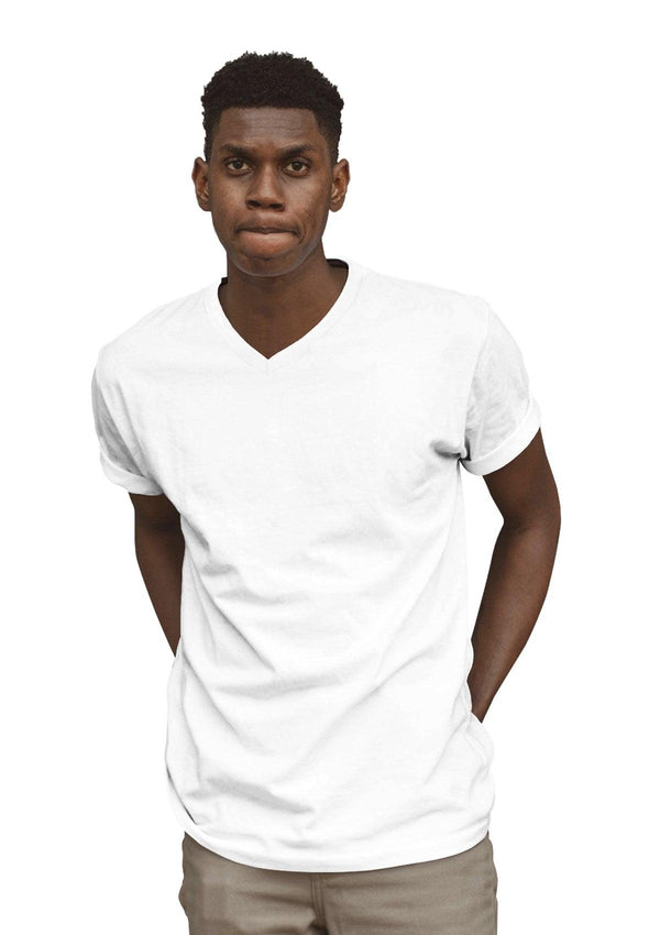 Mens T-Shirts Short Sleeve V-Neck Cloud White Triblend - Perfect TShirt Co